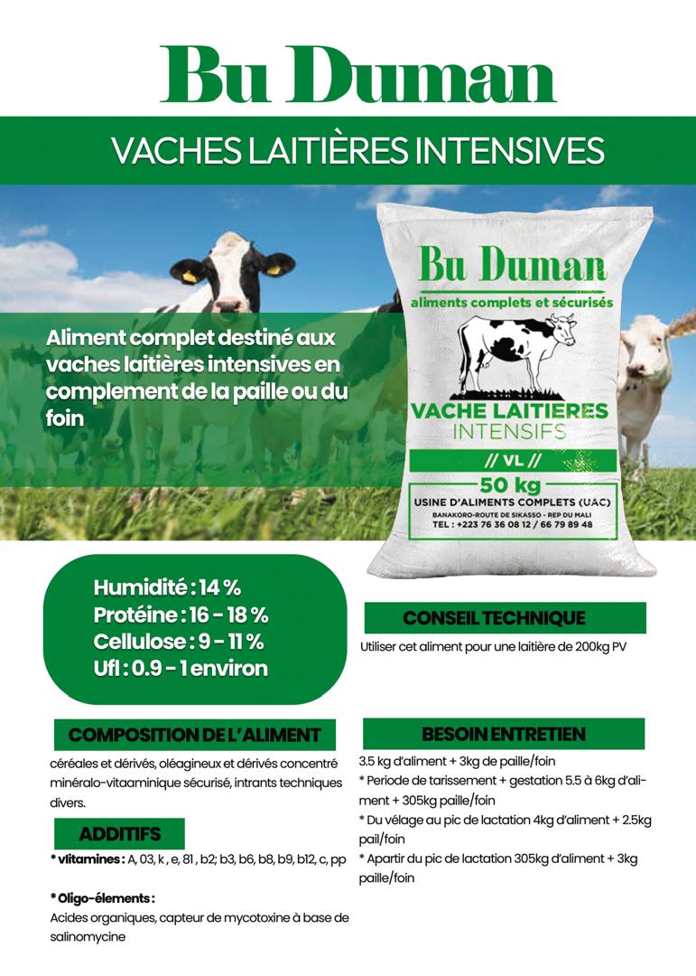 Bu Duman VACHES LAITIERE INTENSIVES